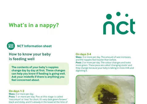 Your baby's expected nappies