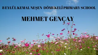 Bir başlık ekleyin (2)