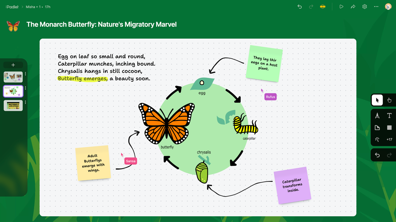 Butterfly life cycle diagram using a Padlet sandbox