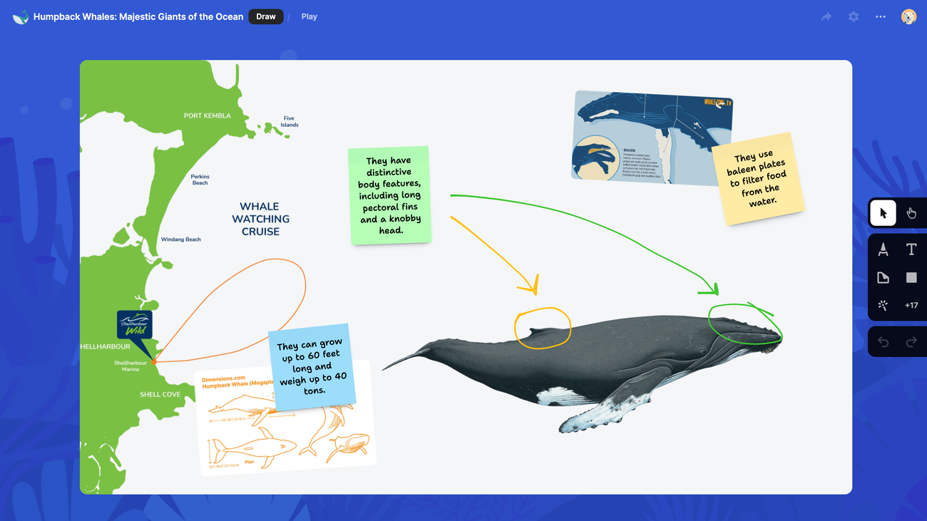 Whale habitat range illustration using a Padlet sandbox